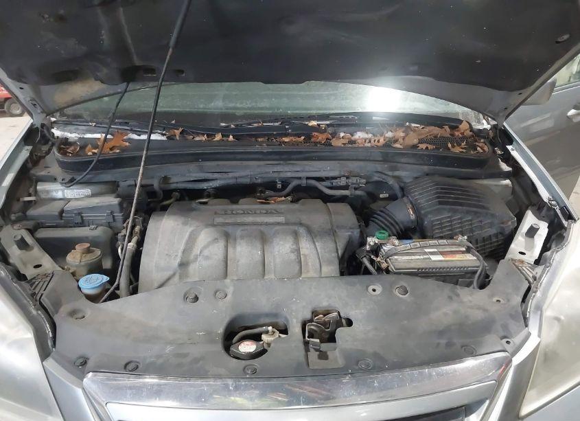 Photo 10 of 2006 Honda Odyssey EX-L (VIN 5FNRL38646B113100)