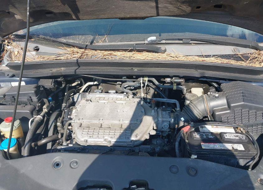 Photo 10 of 2007 Honda Odyssey EX-L (VIN 5FNRL38647B013189)