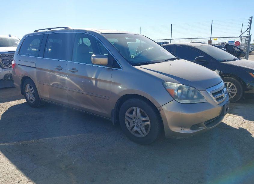 2007 Honda Odyssey EX-L (VIN 5FNRL38647B053885) main photo