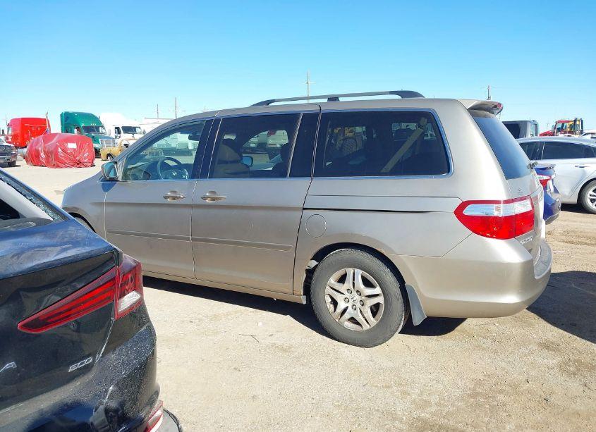 Photo 14 of 2007 Honda Odyssey EX-L (VIN 5FNRL38647B053885)