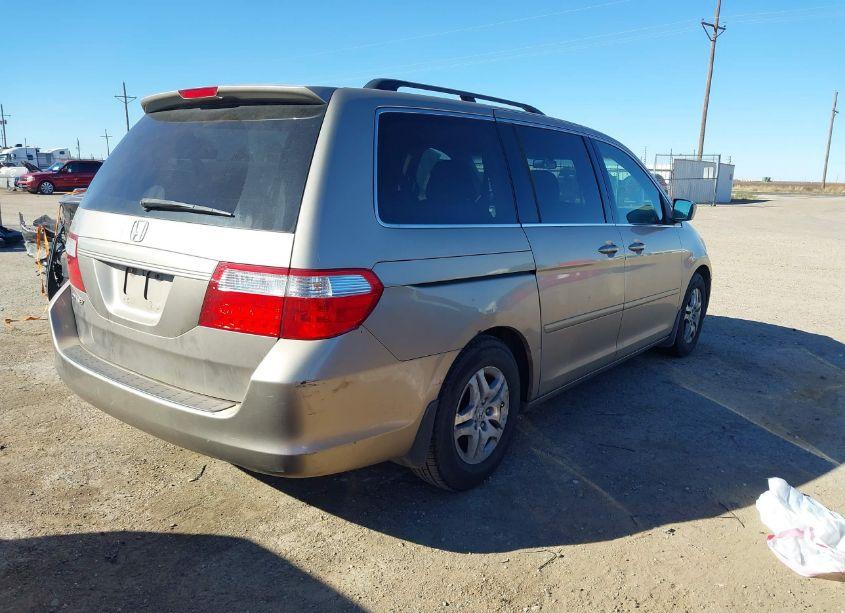 Photo 4 of 2007 Honda Odyssey EX-L (VIN 5FNRL38647B053885)