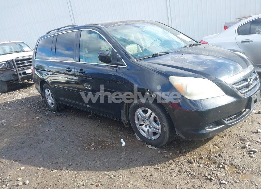2007 Honda Odyssey EX-L (VIN 5FNRL38647B137141) main photo