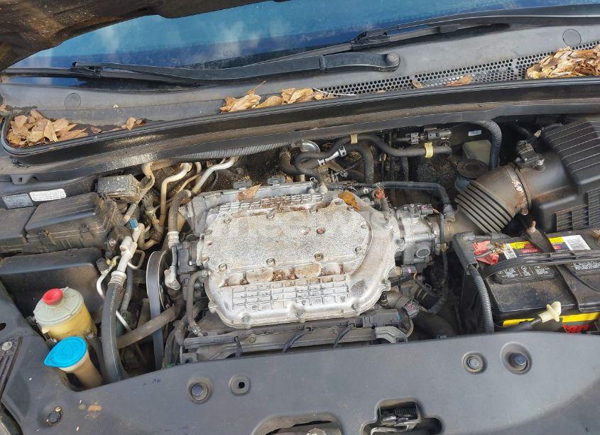 Photo 10 of 2007 Honda Odyssey EX-L (VIN 5FNRL38647B137141)