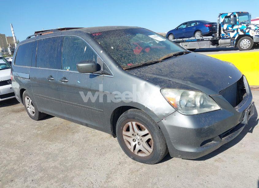 2007 Honda Odyssey EX-L (VIN 5FNRL38647B443269) main photo