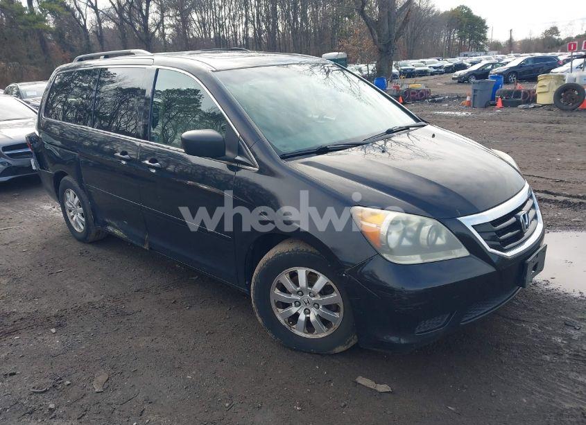 2008 Honda Odyssey EX-L (VIN 5FNRL38648B039714) main photo