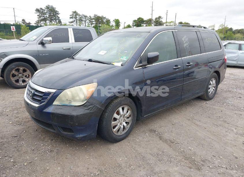Photo 2 of 2008 Honda Odyssey EX-L (VIN 5FNRL38648B096334)