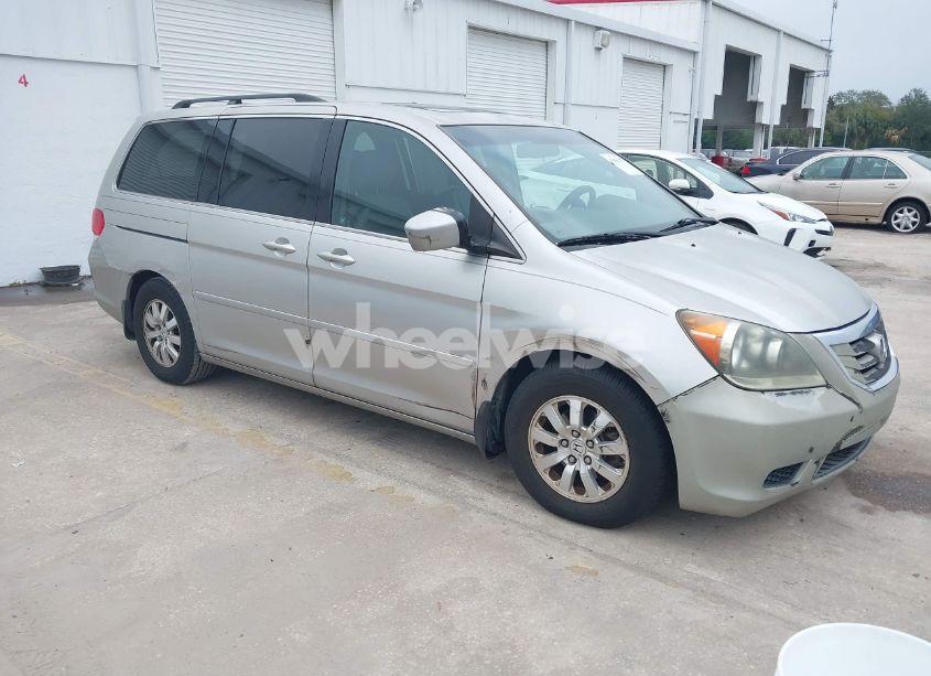 2009 Honda Odyssey EX-L (VIN 5FNRL38649B053694) main photo