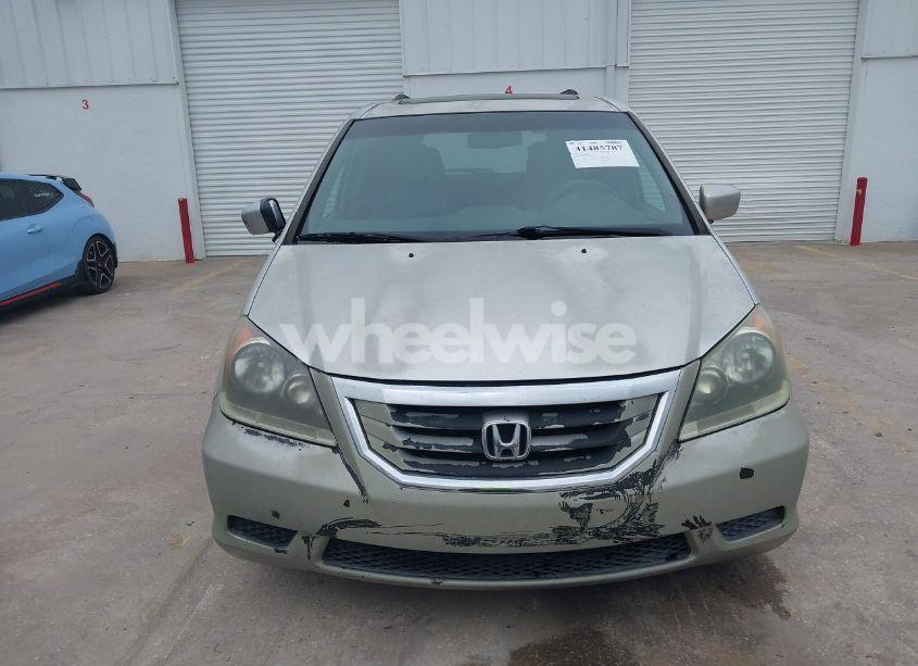 Photo 12 of 2009 Honda Odyssey EX-L (VIN 5FNRL38649B053694)