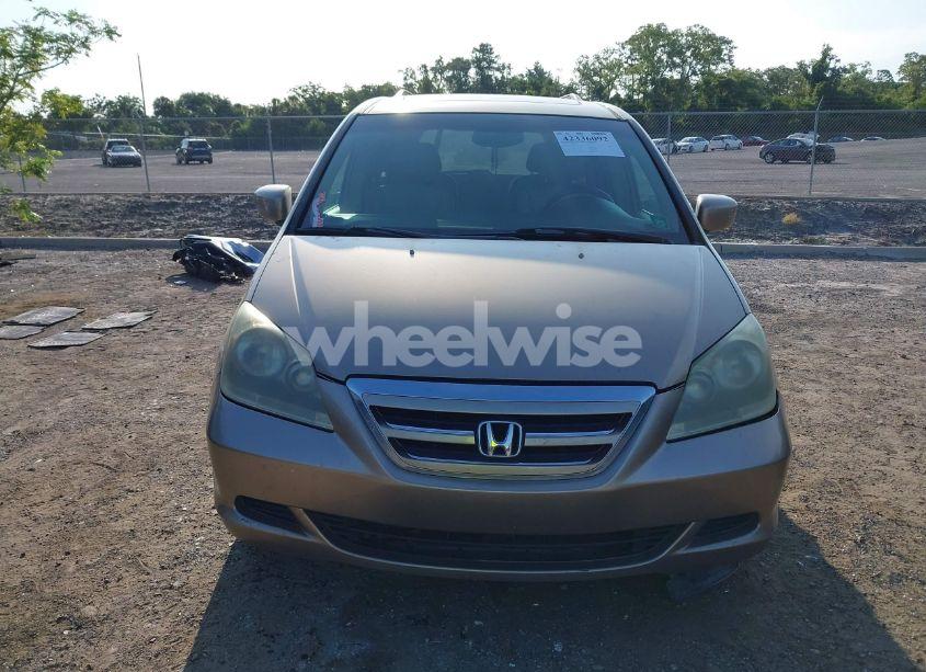 Photo 12 of 2006 Honda Odyssey EX-L (VIN 5FNRL38656B411090)
