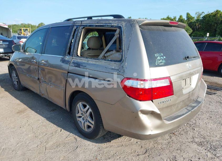 Photo 3 of 2006 Honda Odyssey EX-L (VIN 5FNRL38656B411090)
