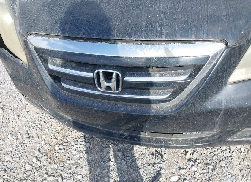 Photo 10 of 2007 Honda Odyssey EX-L (VIN 5FNRL38657B090346)