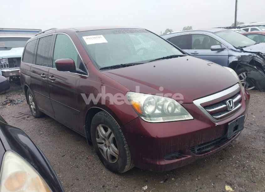 2007 Honda Odyssey EX-L (VIN 5FNRL38657B425749) main photo