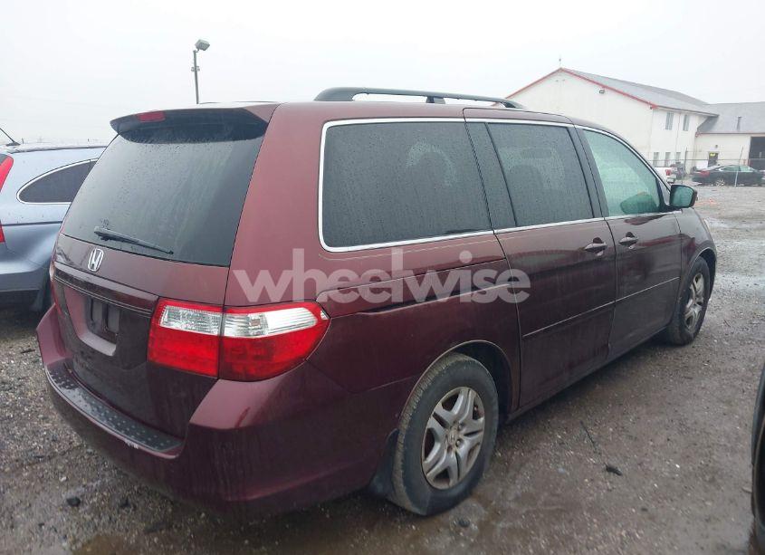 Photo 4 of 2007 Honda Odyssey EX-L (VIN 5FNRL38657B425749)