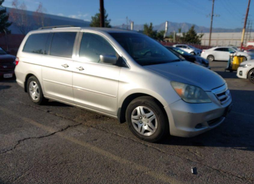 2007 Honda Odyssey EX-L (VIN 5FNRL38657B443541) main photo