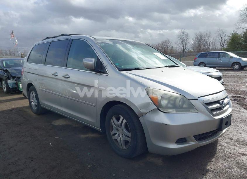 2007 Honda Odyssey EX-L (VIN 5FNRL38657B452482) main photo