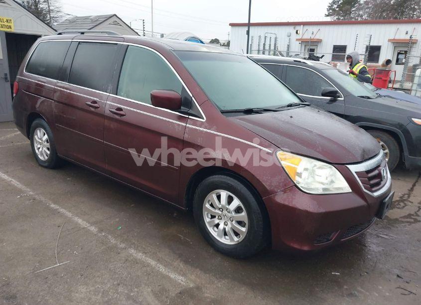 2008 Honda Odyssey EX-L (VIN 5FNRL38658B004485) main photo
