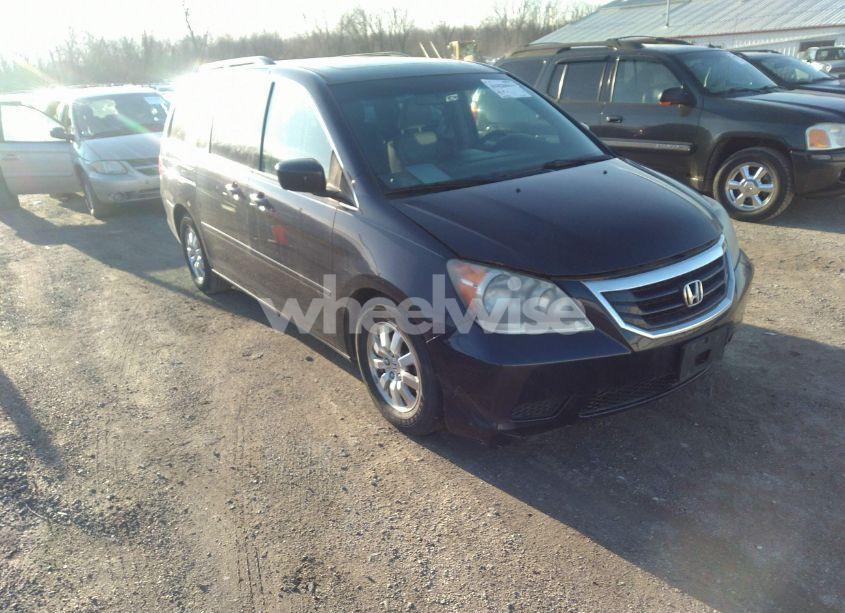 2008 Honda Odyssey EX-L (VIN 5FNRL38658B032495) main photo