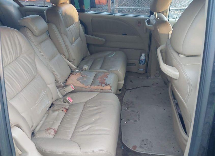 Photo 8 of 2008 Honda Odyssey EX-L (VIN 5FNRL38658B048440)