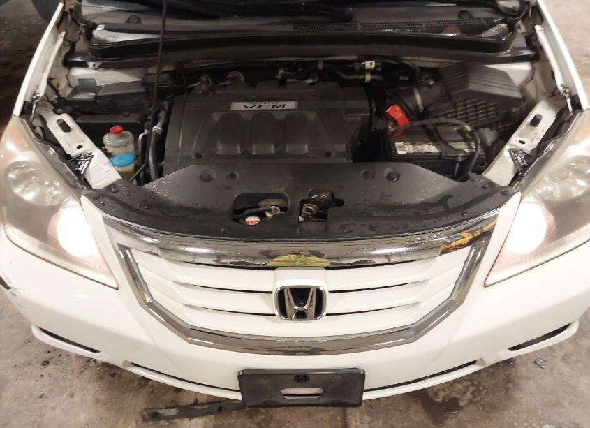 Photo 10 of 2008 Honda Odyssey EX-L (VIN 5FNRL38658B056800)