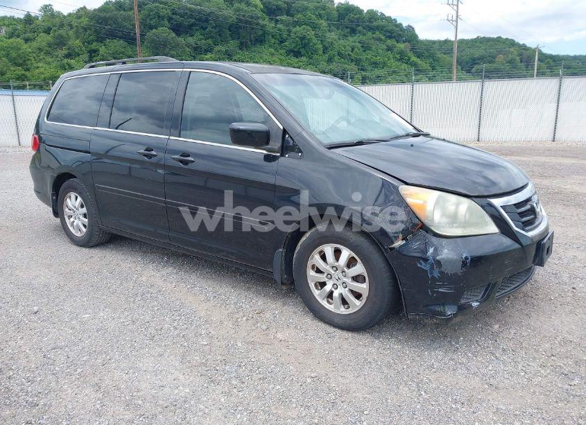 2008 Honda Odyssey EX-L (VIN 5FNRL38658B060300) main photo