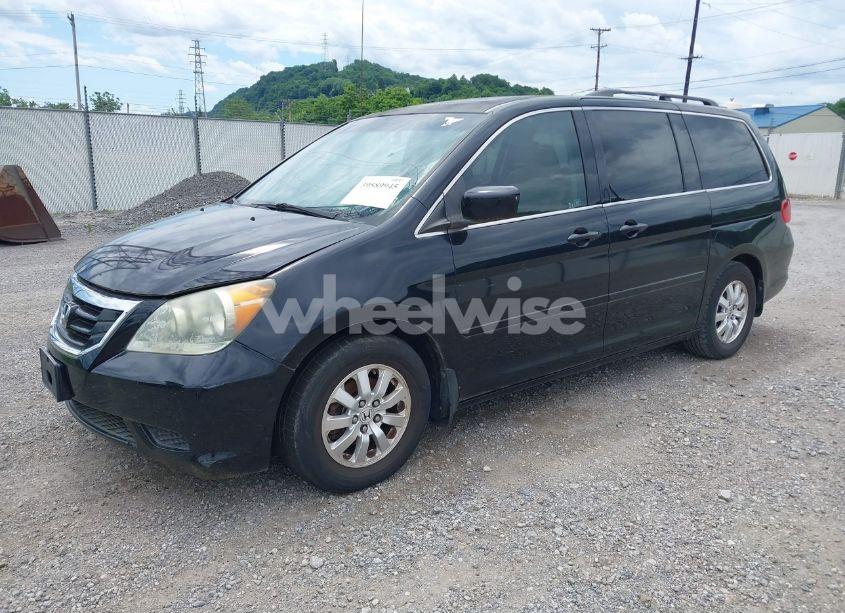 Photo 2 of 2008 Honda Odyssey EX-L (VIN 5FNRL38658B060300)