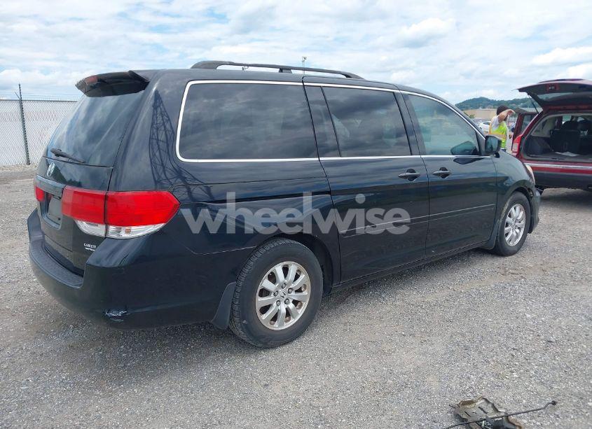 Photo 4 of 2008 Honda Odyssey EX-L (VIN 5FNRL38658B060300)