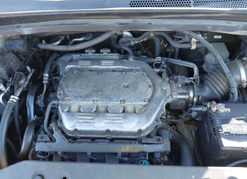 Photo 10 of 2008 Honda Odyssey EX-L (VIN 5FNRL38658B408550)