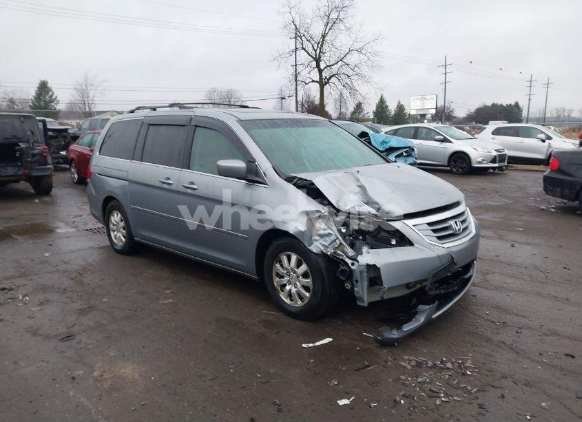 2009 Honda Odyssey EX-L (VIN 5FNRL38659B028710) main photo