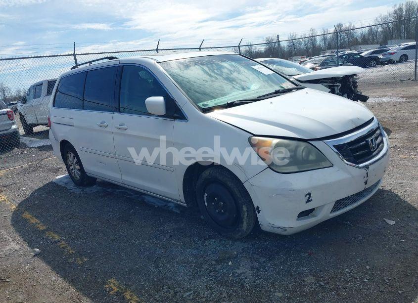 2009 Honda Odyssey EX-L (VIN 5FNRL38659B043367) main photo