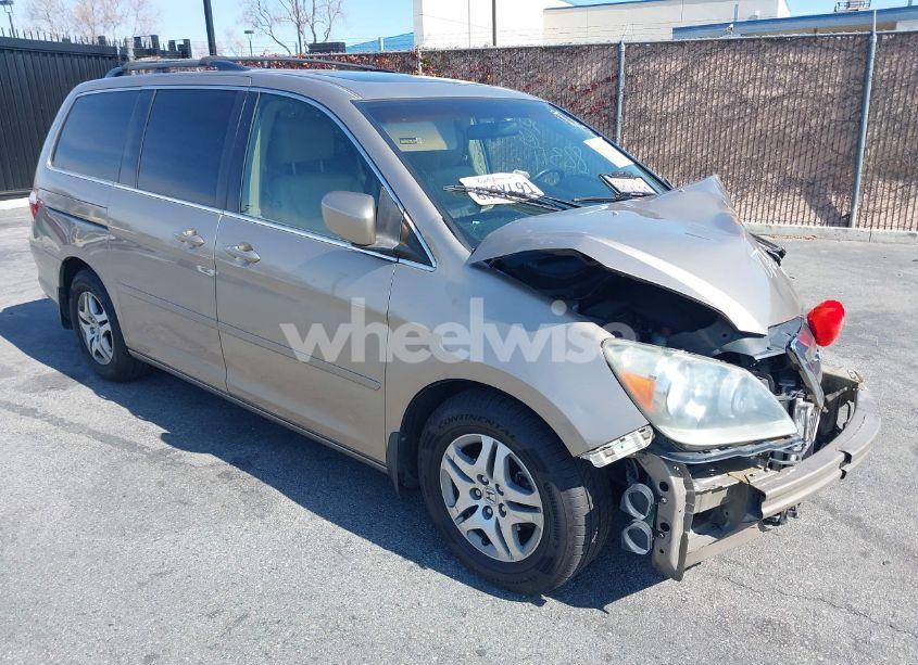 2005 Honda Odyssey EX-L (VIN 5FNRL38665B409895) main photo