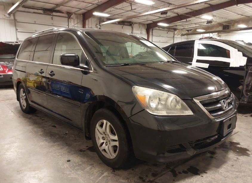 2007 Honda Odyssey EX-L (VIN 5FNRL38667B061731) main photo