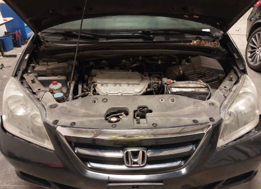 Photo 10 of 2007 Honda Odyssey EX-L (VIN 5FNRL38667B061731)