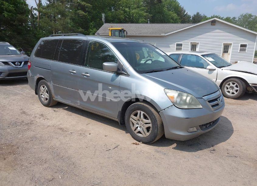 2007 Honda Odyssey EX-L (VIN 5FNRL38667B066105) main photo