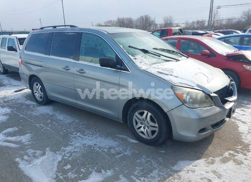 2007 Honda Odyssey EX-L (VIN 5FNRL38667B134225) main photo