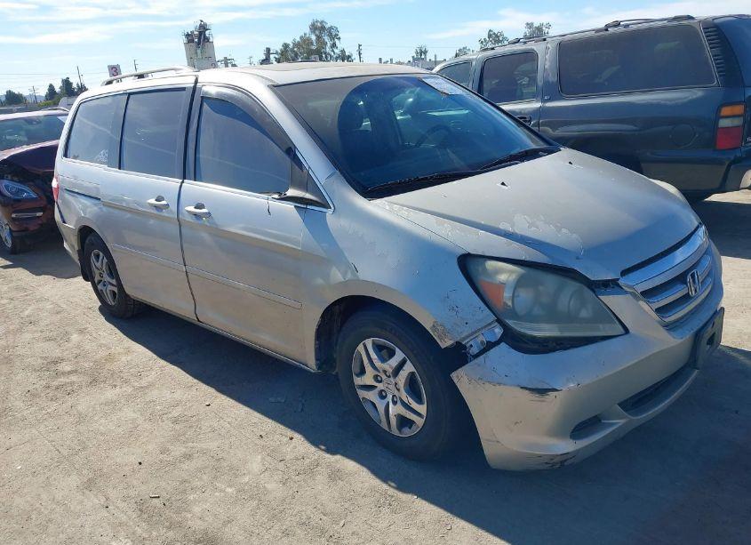 2007 Honda Odyssey EX-L (VIN 5FNRL38667B423167) main photo