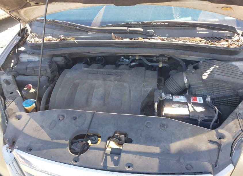 Photo 10 of 2007 Honda Odyssey EX-L (VIN 5FNRL38667B423167)
