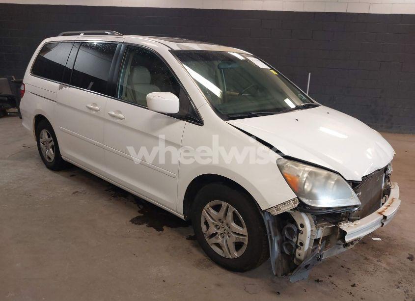 2007 Honda Odyssey EX-L (VIN 5FNRL38667B448943) main photo