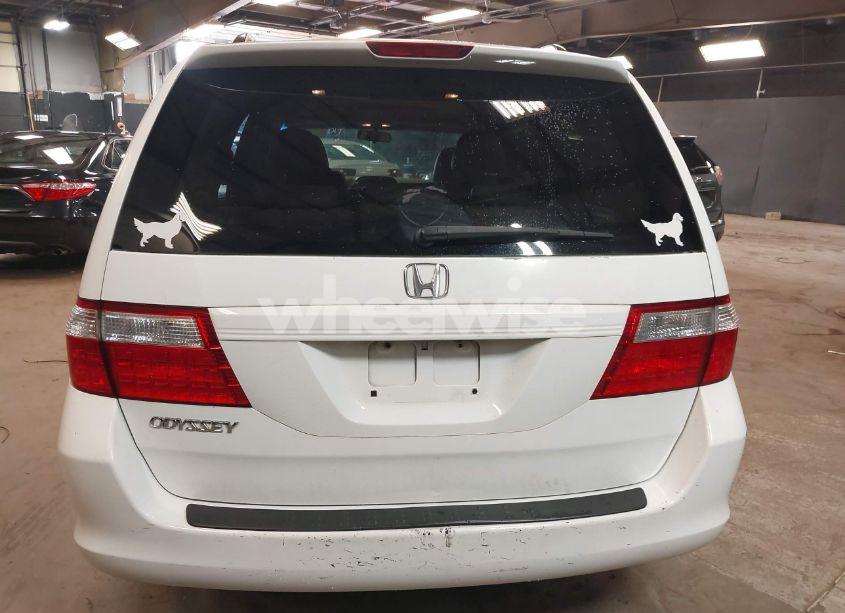 Photo 17 of 2007 Honda Odyssey EX-L (VIN 5FNRL38667B448943)