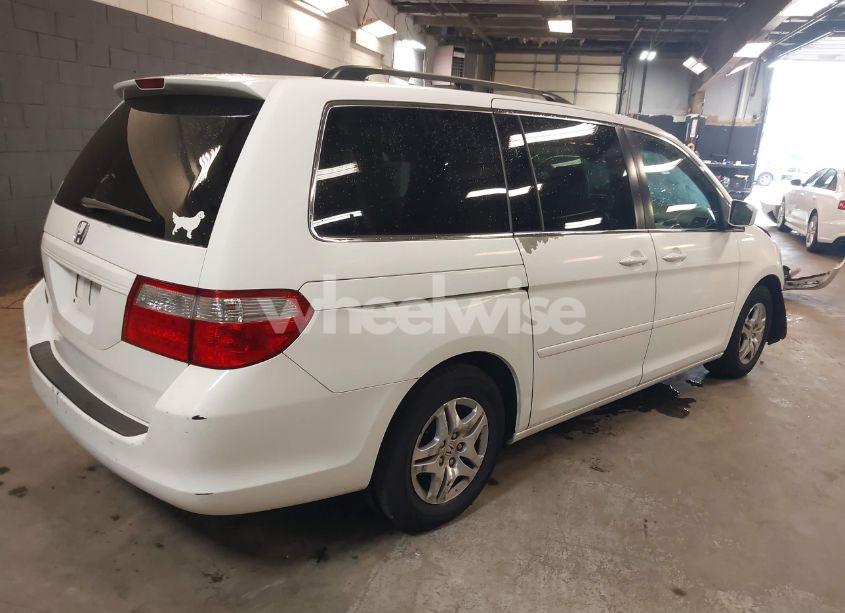 Photo 4 of 2007 Honda Odyssey EX-L (VIN 5FNRL38667B448943)