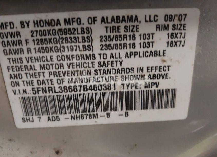 Photo 9 of 2007 Honda Odyssey EX-L (VIN 5FNRL38667B460381)