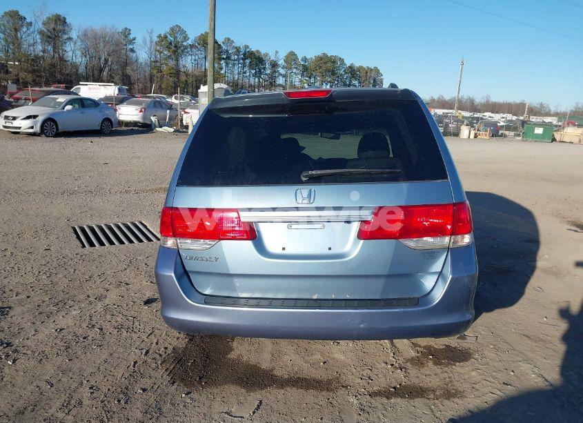 Photo 16 of 2008 Honda Odyssey EX-L (VIN 5FNRL38668B080040)