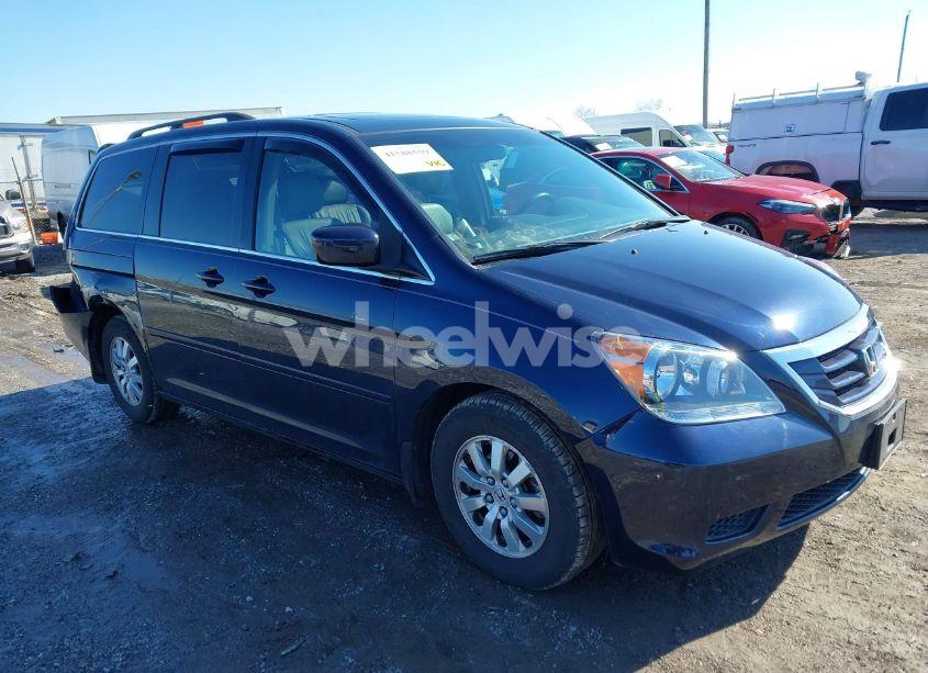 2008 Honda Odyssey EX-L (VIN 5FNRL38668B093158) main photo