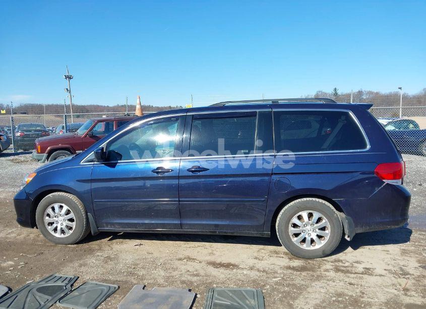 Photo 14 of 2008 Honda Odyssey EX-L (VIN 5FNRL38668B093158)