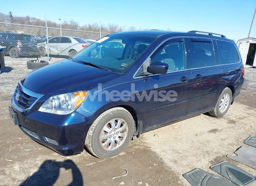 Photo 2 of 2008 Honda Odyssey EX-L (VIN 5FNRL38668B093158)