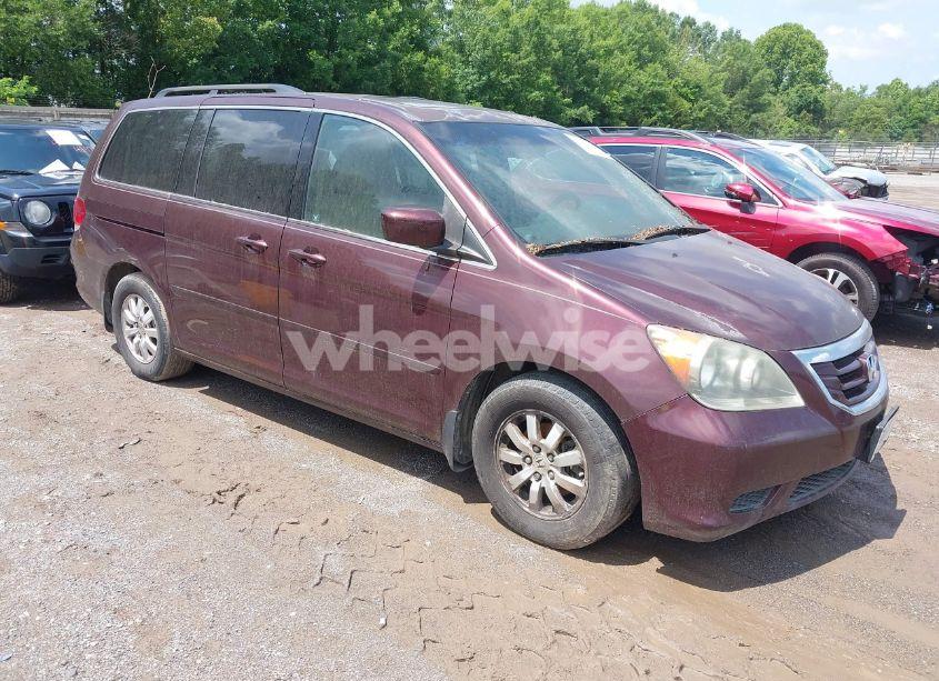 2008 Honda Odyssey EX-L (VIN 5FNRL38668B093807) main photo