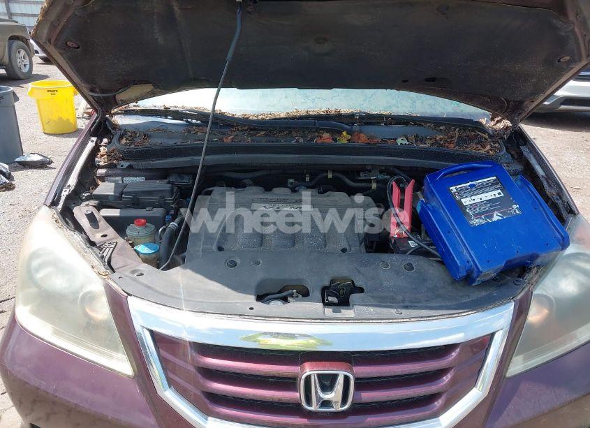 Photo 10 of 2008 Honda Odyssey EX-L (VIN 5FNRL38668B093807)