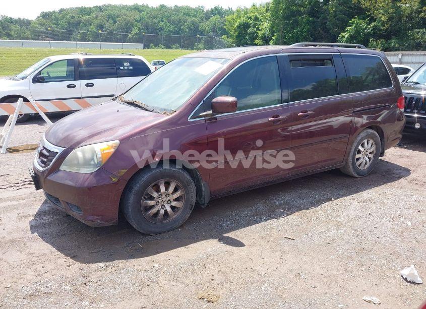 Photo 2 of 2008 Honda Odyssey EX-L (VIN 5FNRL38668B093807)