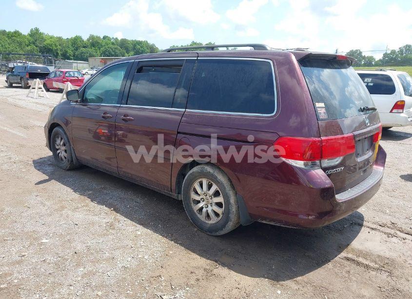 Photo 3 of 2008 Honda Odyssey EX-L (VIN 5FNRL38668B093807)