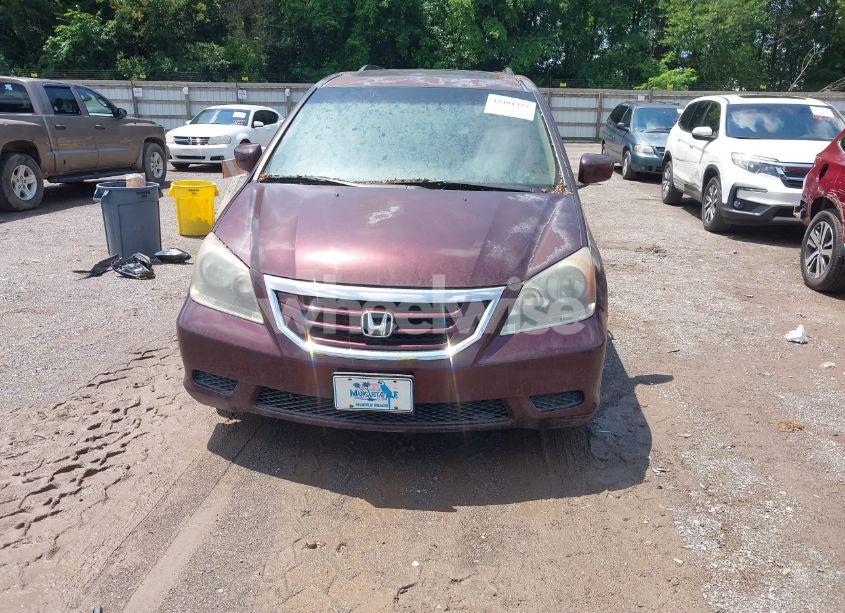 Photo 6 of 2008 Honda Odyssey EX-L (VIN 5FNRL38668B093807)