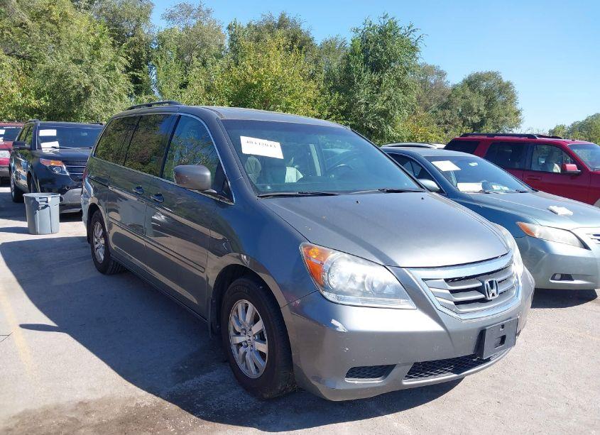 2008 Honda Odyssey EX-L (VIN 5FNRL38668B102506) main photo